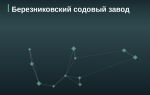 Эмитент Березниковский содовый завод