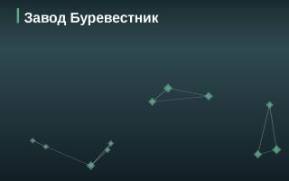 Эмитент Завод Буревестник