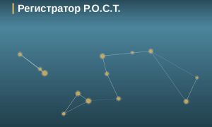 Регистратор Р.О.С.Т.