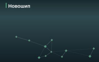 Эмитент Новошип
